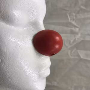 Jim Howle Noses - C2 C3 C4