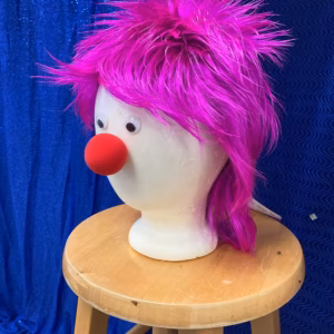Spiky Clown Wig